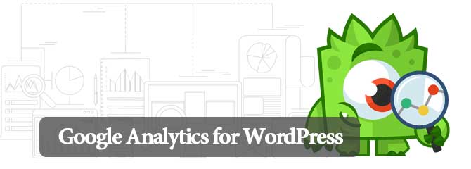 12-google-analytics-wordpress-plugin