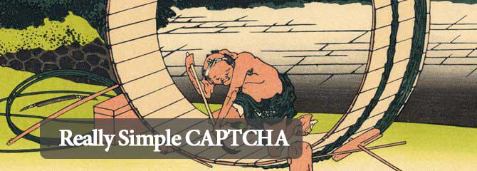 14-really-simple-captcha