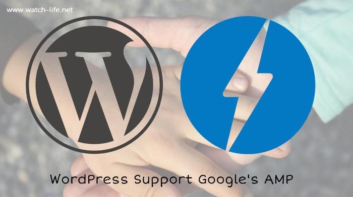 WordPress应该支持google AMP还是baidu MIP?