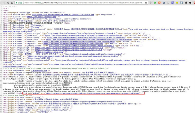 在WordPress 网站使用Google AMP 技术,提升页面开启速度教学-长沙SEO霜天