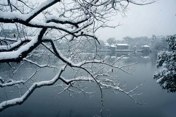 岁寒有清欢 岁寒有清欢-长沙SEO霜天