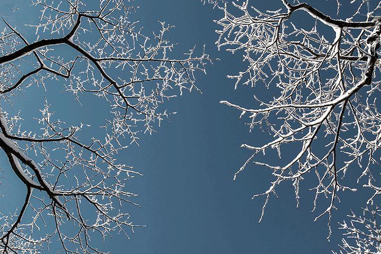 雪,冬天的留白 雪,冬天的留白-长沙SEO霜天