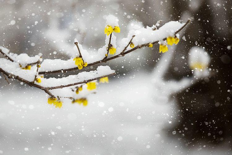 雪,冬天的留白 雪,冬天的留白-长沙SEO霜天
