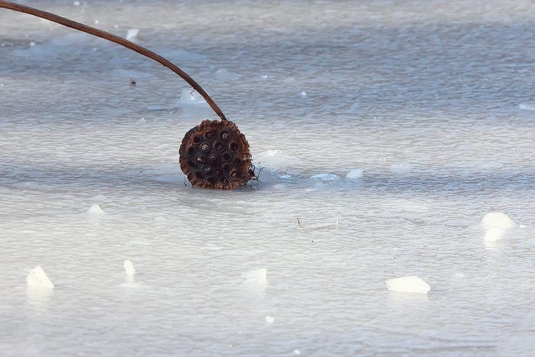 雪,冬天的留白 雪,冬天的留白-长沙SEO霜天