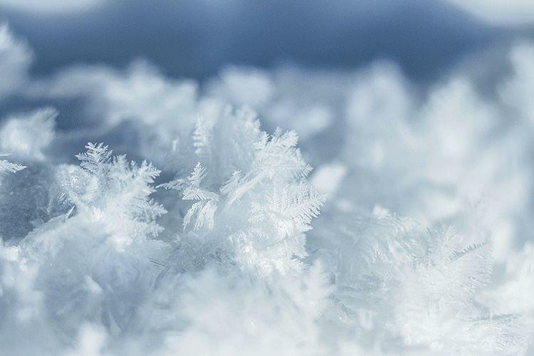 雪,冬天的留白 雪,冬天的留白-长沙SEO霜天