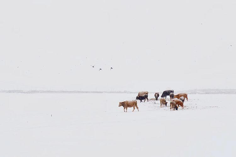 雪,冬天的留白 雪,冬天的留白-长沙SEO霜天