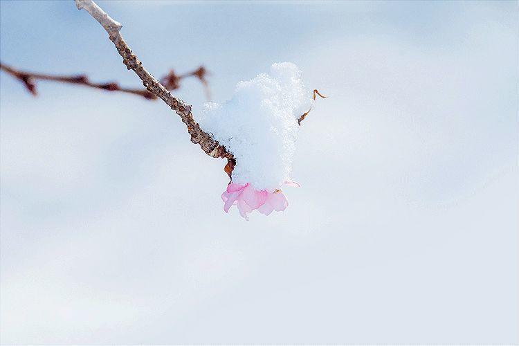 立春|一年最美好的开始 立春|一年最美好的开始-长沙SEO霜天