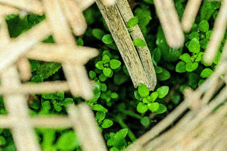 立春|一年最美好的开始 立春|一年最美好的开始-长沙SEO霜天