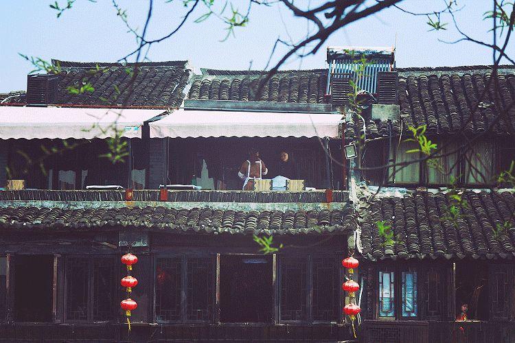 立春|一年最美好的开始 立春|一年最美好的开始-长沙SEO霜天