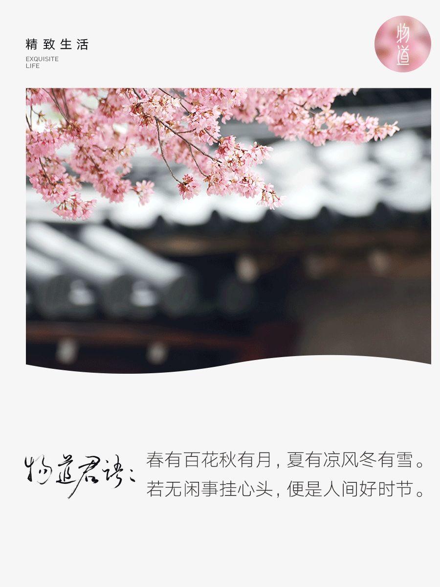 你活得那么糙,是因为丧失了季节感 你活得那么糙,是因为丧失了季节感-长沙SEO霜天