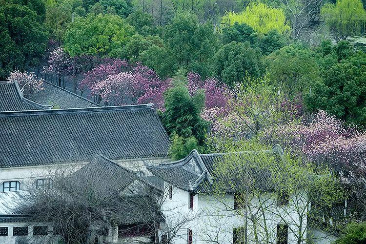 你活得那么糙,是因为丧失了季节感 你活得那么糙,是因为丧失了季节感-长沙SEO霜天
