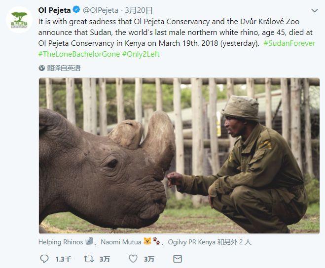 世界上最后一头雄性北白犀牛走了,我们结束了它们5000万年的历史,却还没来得及看它一眼 世界上最后一头雄性北白犀牛走了,我们结束了它们5000万年的历史,却还没来得及看它一眼-长沙SEO霜天
