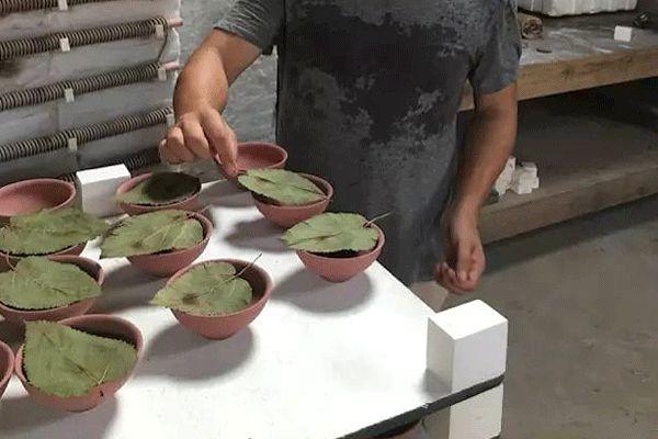 一生太短,把时间留给最爱的人和事 一生太短,把时间留给最爱的人和事-长沙SEO霜天
