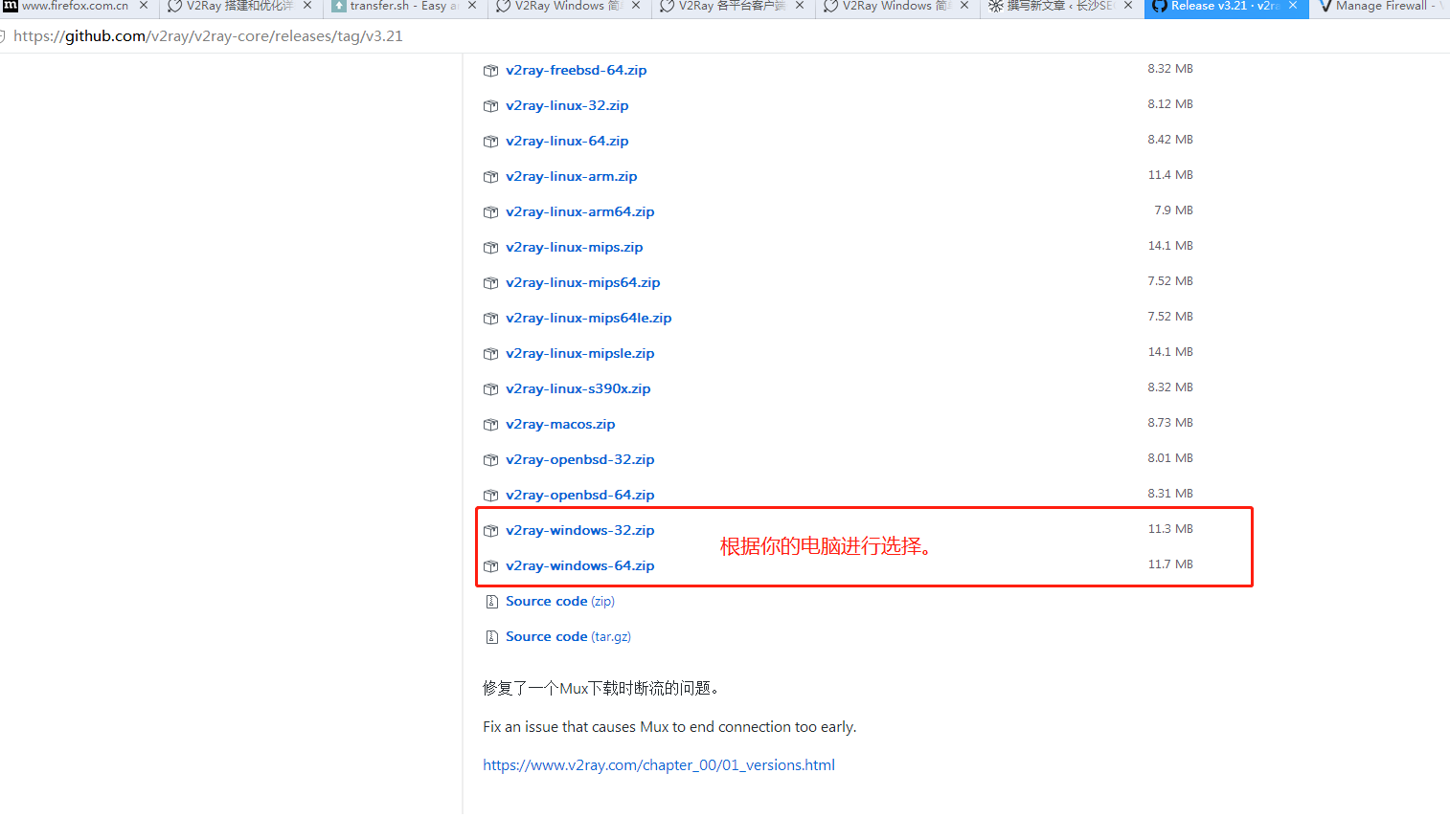 V2Ray window下超简单使用教程-长沙SEO霜天