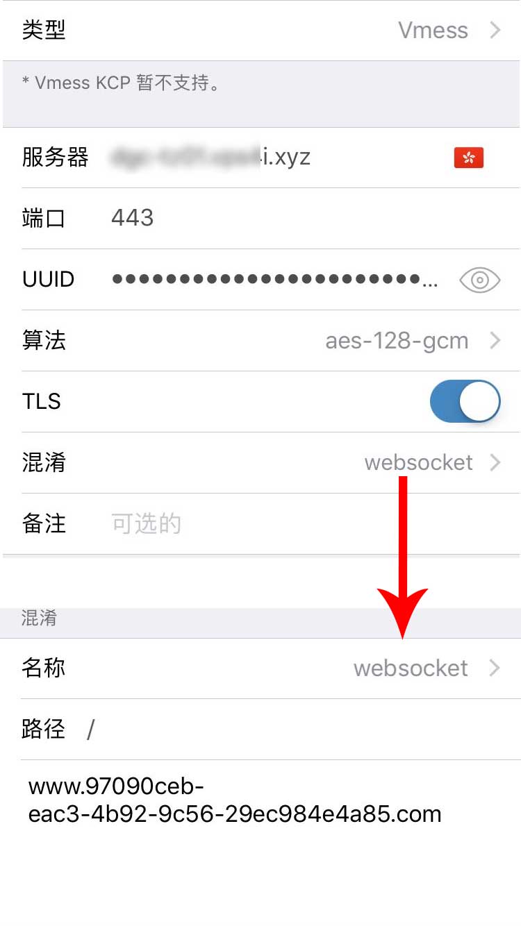 V2Ray iPhone、ipad、IOS常用客户端及V2Ray IOS使用教程-长沙SEO霜天