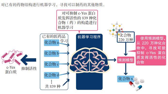 AI取代人类?这4种工作仍将是从业者的“铁饭碗” AI取代人类?这4种工作仍将是从业者的“铁饭碗”-长沙SEO霜天
