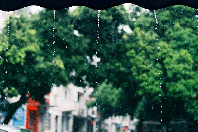 谷雨 | 桃花春欲尽,谷雨夜来收 谷雨 | 桃花春欲尽,谷雨夜来收-长沙SEO霜天