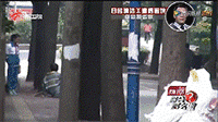 人为什么要善良?这是我听过最好的答案 人为什么要善良?这是我听过最好的答案-长沙SEO霜天