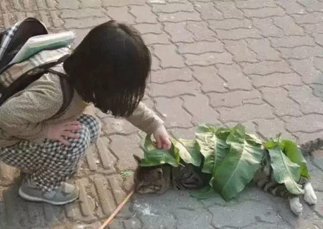 人为什么要善良?这是我听过最好的答案 人为什么要善良?这是我听过最好的答案-长沙SEO霜天