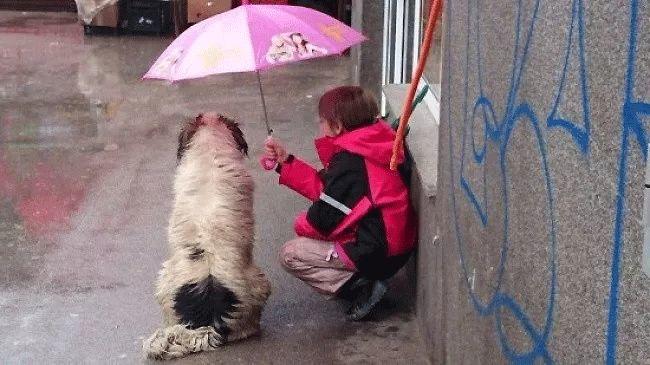 人为什么要善良?这是我听过最好的答案 人为什么要善良?这是我听过最好的答案-长沙SEO霜天