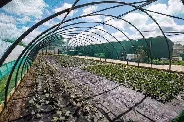 厨师杀过人,服务员是投毒犯,这家餐厅惊艳了BBC,火到贵族名流都抢着去吃“牢饭”… 厨师杀过人,服务员是投毒犯,这家餐厅惊艳了BBC,火到贵族名流都抢着去吃“牢饭”…-长沙SEO霜天