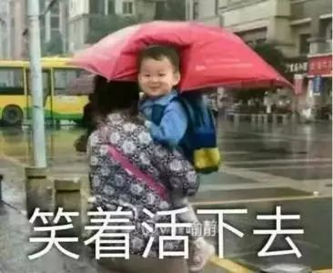 想提升谷歌排名?看下国外的这个分析 想提升谷歌排名?看下国外的这个分析-长沙SEO霜天