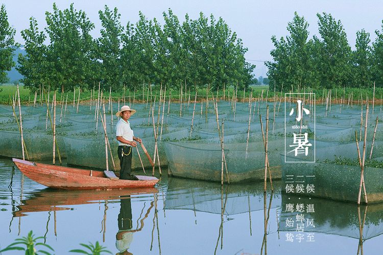 小暑,夏安 小暑,夏安-长沙SEO霜天