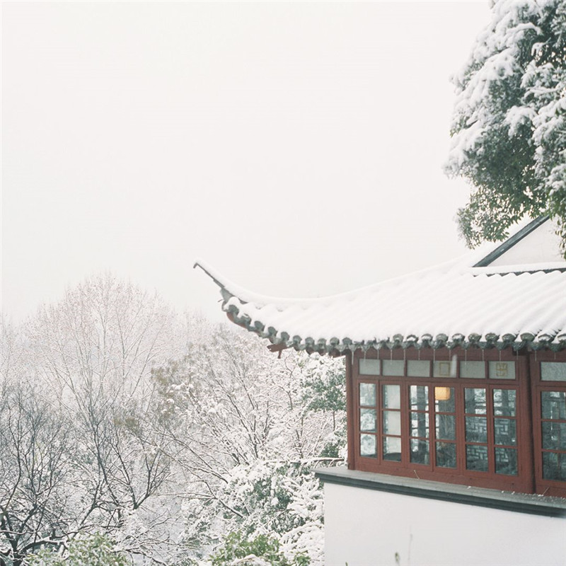 她镜头下的杭州，藏尽中国最美的春夏秋冬