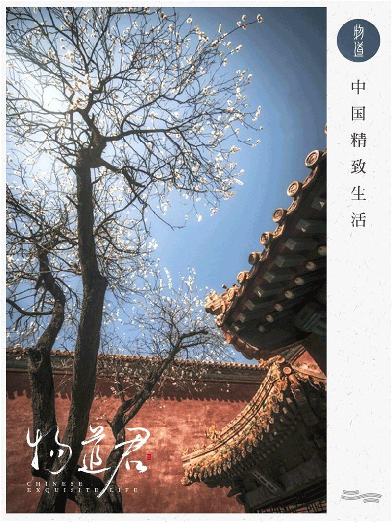 不生气,才能活得有生气 不生气,才能活得有生气