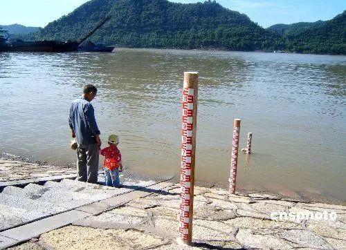 长江白鲟灭绝,为什么有人要炸掉三峡大坝陪葬? 长江白鲟灭绝,为什么有人要炸掉三峡大坝陪葬?
