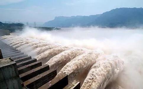 长江白鲟灭绝,为什么有人要炸掉三峡大坝陪葬? 长江白鲟灭绝,为什么有人要炸掉三峡大坝陪葬?