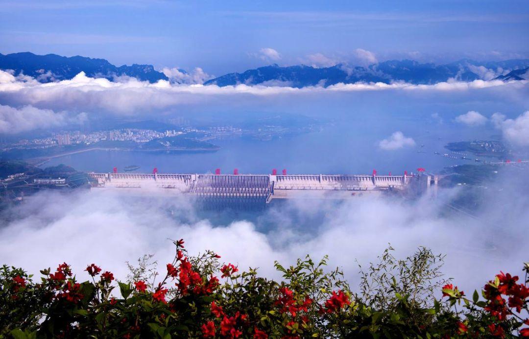 长江白鲟灭绝,为什么有人要炸掉三峡大坝陪葬? 长江白鲟灭绝,为什么有人要炸掉三峡大坝陪葬?