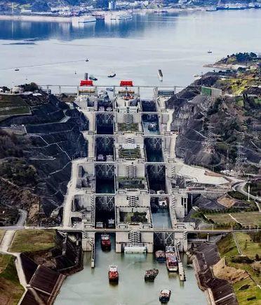 长江白鲟灭绝，为什么有人要炸掉三峡大坝陪葬？