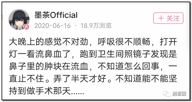 墨茶Official,对不起来晚了,我想请你吃草莓!-40 墨茶Official,对不起来晚了,我想请你吃草莓!-40