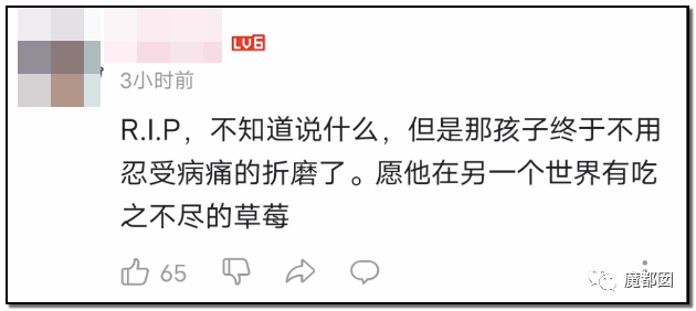 墨茶Official,对不起来晚了,我想请你吃草莓!-100 墨茶Official,对不起来晚了,我想请你吃草莓!-100