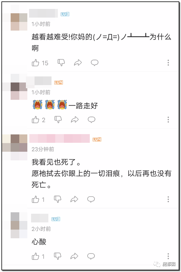 墨茶Official,对不起来晚了,我想请你吃草莓!-31 墨茶Official,对不起来晚了,我想请你吃草莓!-31