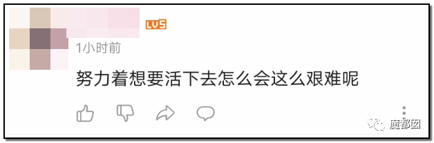 墨茶Official,对不起来晚了,我想请你吃草莓!-15 墨茶Official,对不起来晚了,我想请你吃草莓!-15