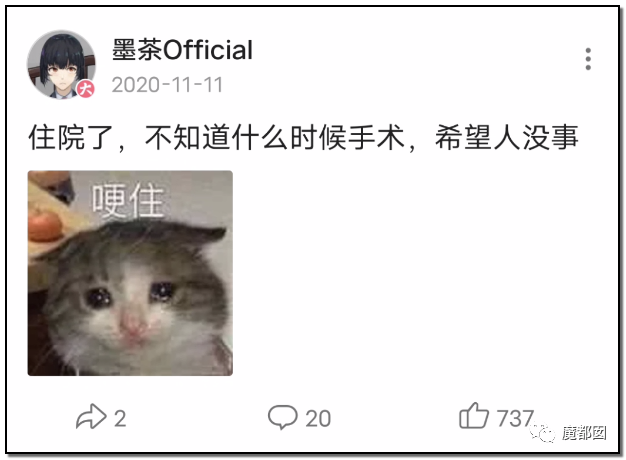 墨茶Official,对不起来晚了,我想请你吃草莓!-44 墨茶Official,对不起来晚了,我想请你吃草莓!-44