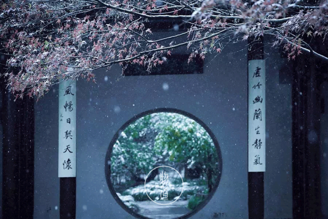 小雪 39 w x t p 18