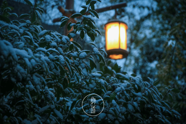 小雪 41 w x t p 20